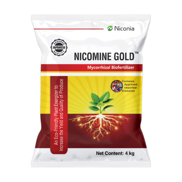 nicomine-gold