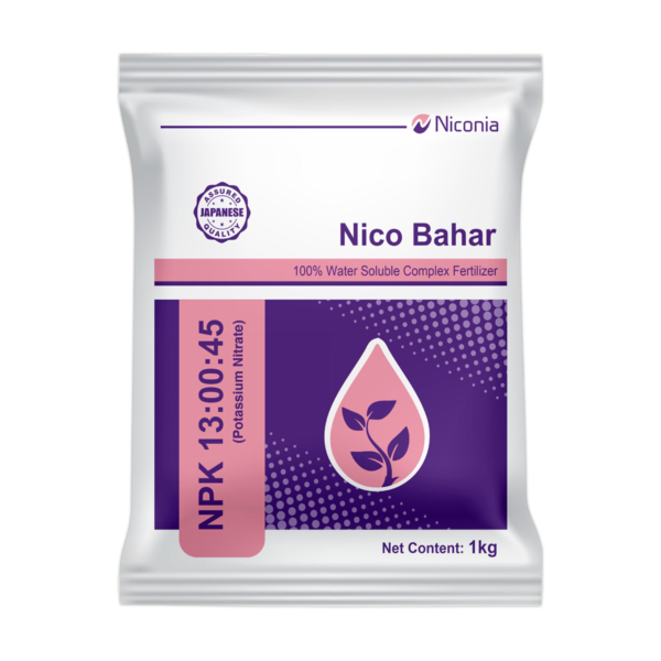 nico-bahar