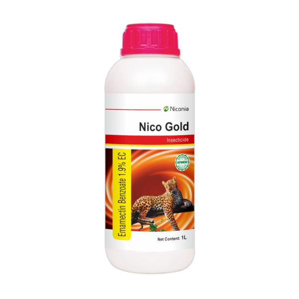 nico-gold