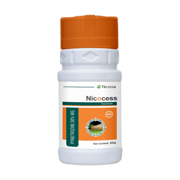 nicocess