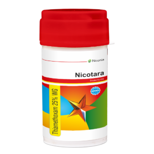 nicotara