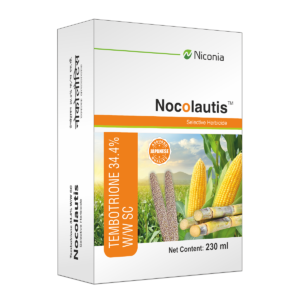 nicolautis