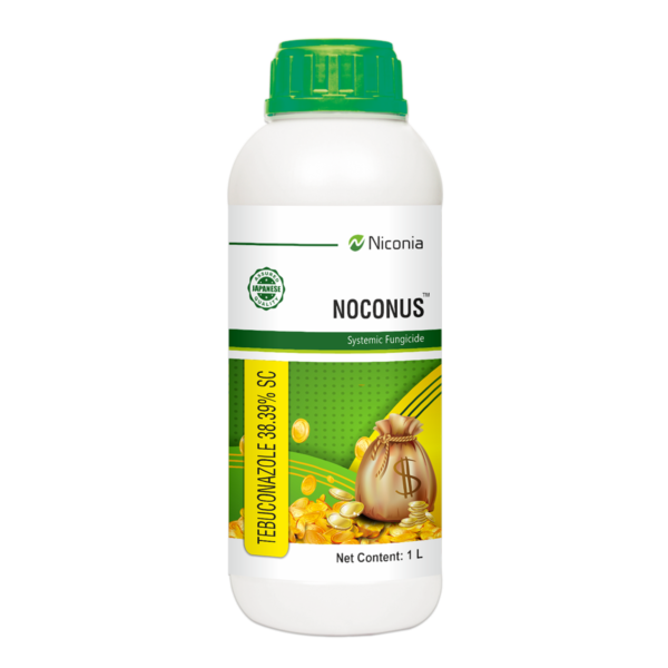noconus