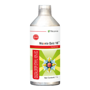 niconia-quiz-10