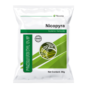 nicopyra