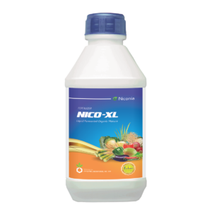 nico-xl