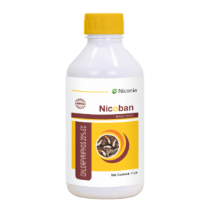 nicoban