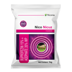 nico-nicuz