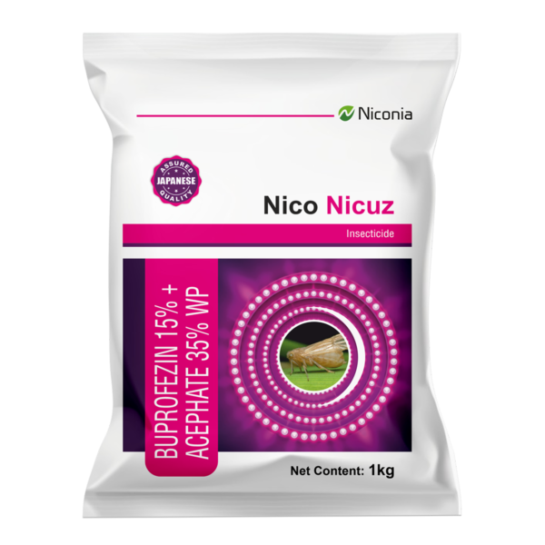 nico-nicuz