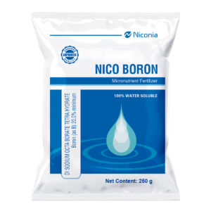 nico-boron