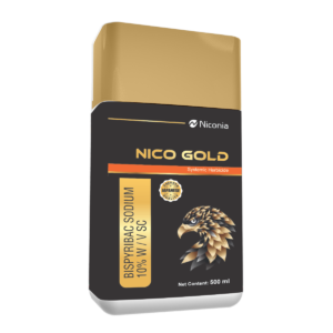 nico-gold