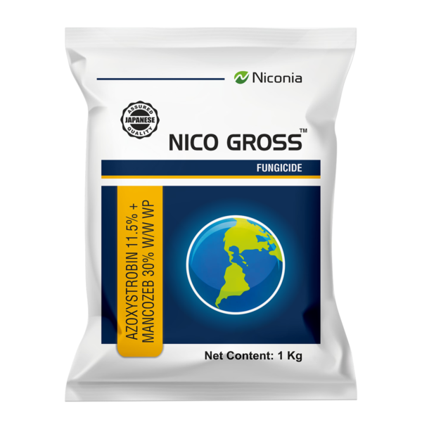 nico-gross